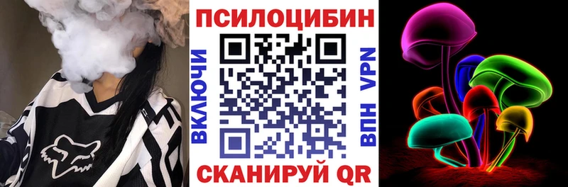 Галлюциногенные грибы Psilocybe  Арск 